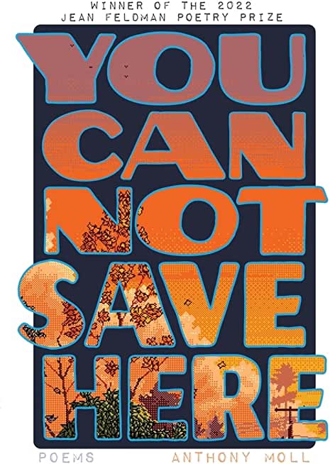 You Cannot Save Here