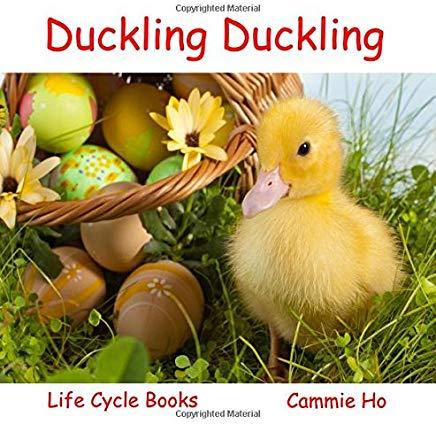 Duckling Duckling: Life Cycle Books