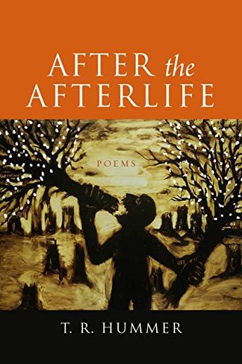 After the Afterlife: Poems