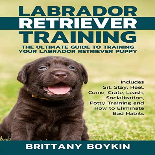 Labrador Retriever Training: The Ultimate Guide to Training Your Labrador Retriever Puppy: Includes Sit, Stay, Heel, Come, Crate, Leash, Socializat