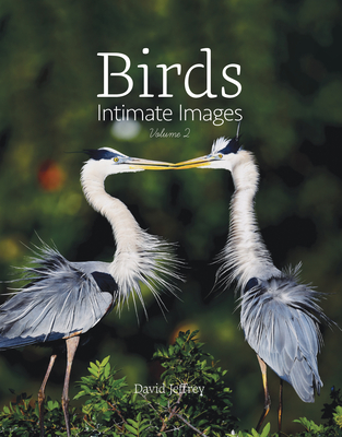 Birds: Intimate Images Volume 2