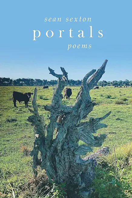 Portals: Poems