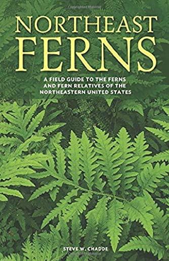 Northeast Ferns: A Field Guide to the Ferns and Fern Relatives of the Northeastern United States