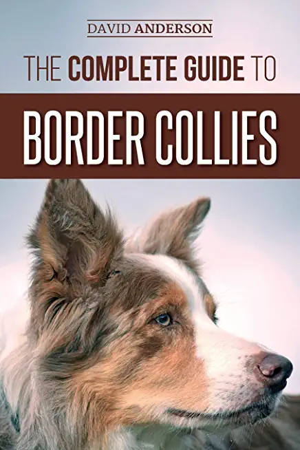 The Complete Guide to Border Collies: Training, teaching, feeding, raising, and loving your new Border Collie puppy