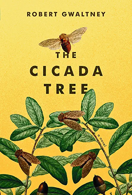 The Cicada Tree