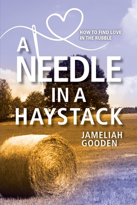 A Needle in a Haystack: How to Find Love in the Rubble