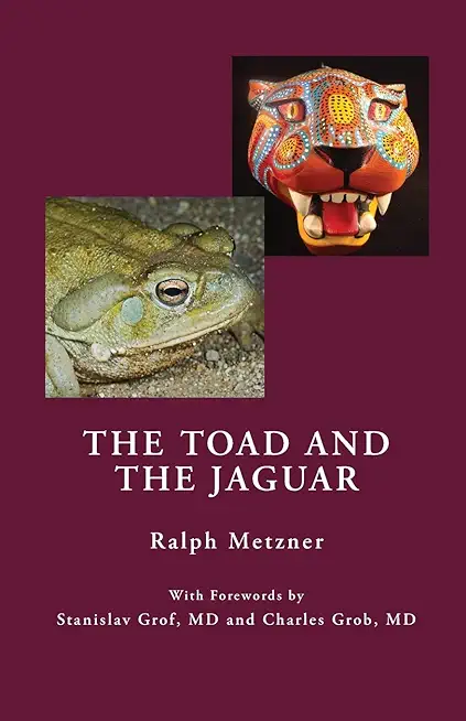The Toad and the Jaguar: A Field Report of Underground Research on a Visionary Medicine Bufo alvarius and 5-methoxy-dimethyltryptamine