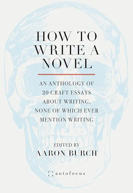 How to Write a Novel: An Anthology of 20 Craft Essays About Writing, None of Which Ever Mention Writing