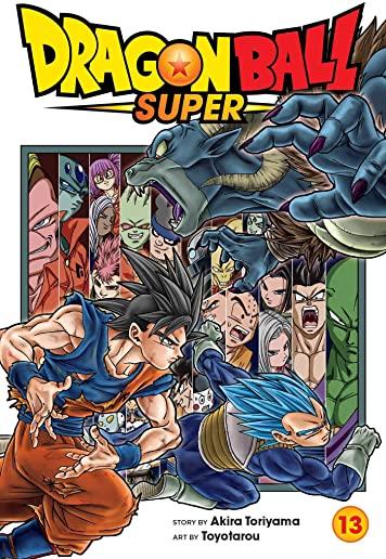 Dragon Ball Super, Vol. 13, Volume 13
