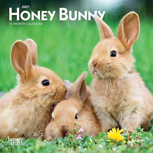 Honey Bunny 2021 Mini 7x7