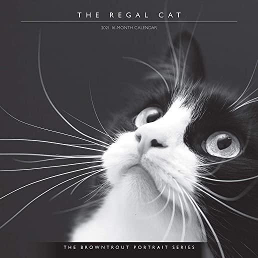 Cat, the Regal, the Browntrout Portrait Series 2021 Square
