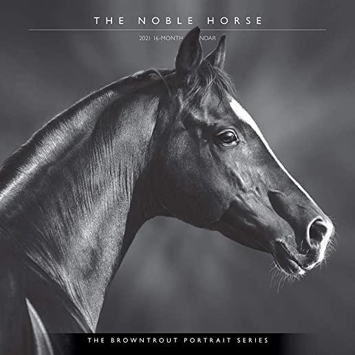 Horse, the Noble, the Browntrout Portrait Series 2021 Square
