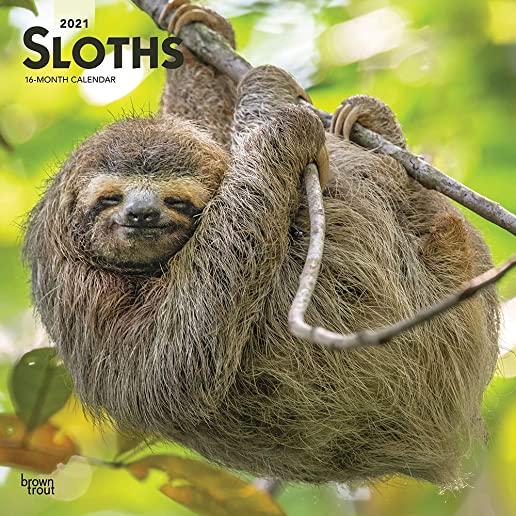 Sloths 2021 Square