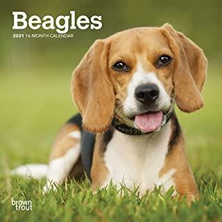Beagles 2021 Mini 7x7