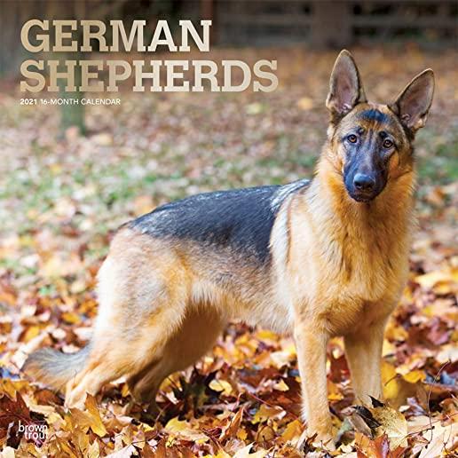 German Shepherds 2021 Square Foil