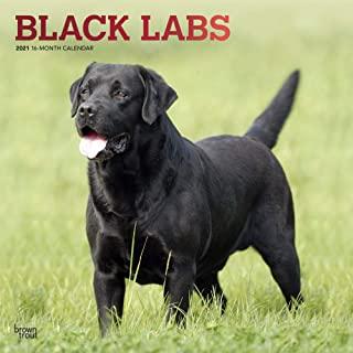 Labrador Retrievers, Black 2021 Square Foil