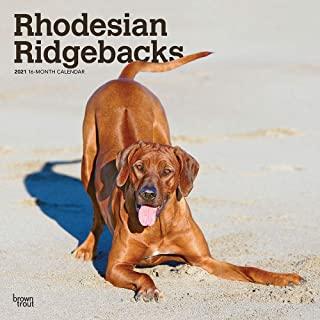 Rhodesian Ridgebacks 2021 Square