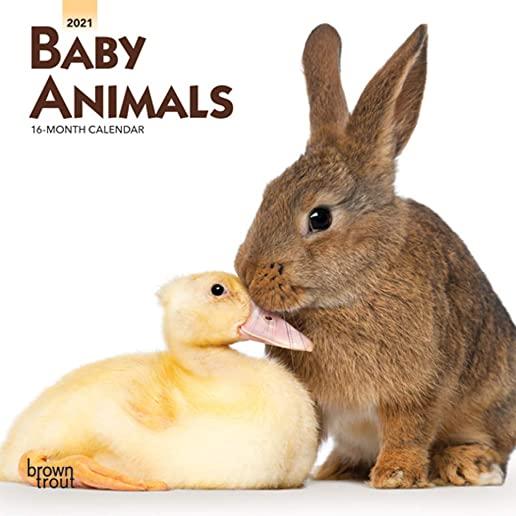 Baby Animals 2021 Mini 7x7