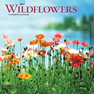 Wildflowers 2021 Mini 7x7