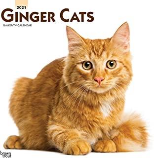 Ginger Cats 2021 Square