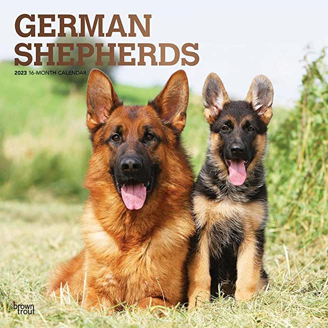 German Shepherds 2023 Square Foil