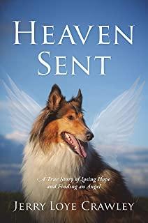 Heaven Sent: A True Story of Losing Hope and Finding an Angel