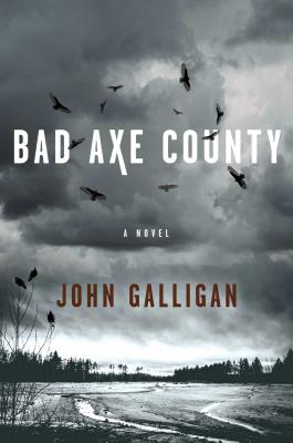 Bad Axe County, Volume 1