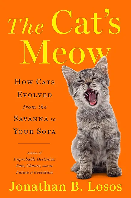 The Cat's Meow: How Cats Evolved from the Savanna to Your Sofa