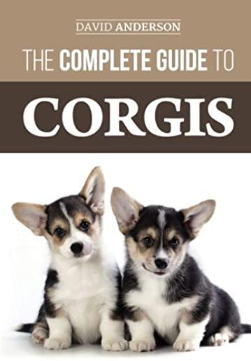 The Complete Guide to Corgis: Everything to know about both the Pembroke Welsh and Cardigan Welsh Corgi dog breeds