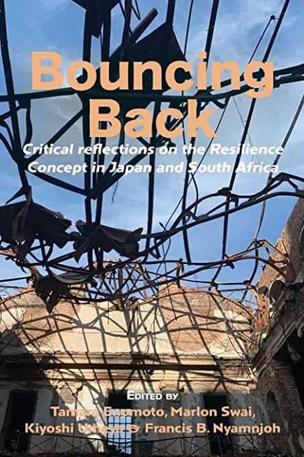 Bouncing Back: Critical reflections on the Resilience Concept in Japan and South Africa
