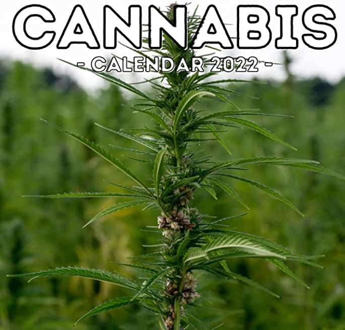 Cannabis Calendar 2022: 16-Month Calendar, Cute Gift Idea For Marijuana Lovers & Smokers Men And Women