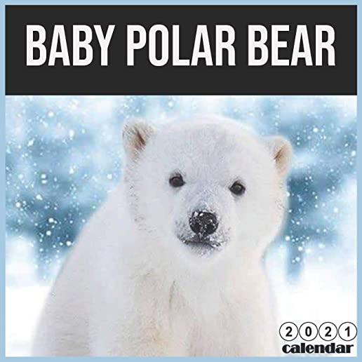 baby Polar bear 2021 Calendar: 16 Months Calendar 2021 baby bear