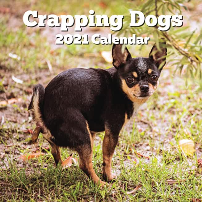 Crapping Dogs 2021 Calendar: Funny Gag Joke Gifts for Dog Lovers - Women Men Birthday, White Elephant Party, Exchange, Yankee Swap, Stocking Stuffe