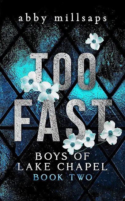 Too Fast: A Why Choose Sports Romance